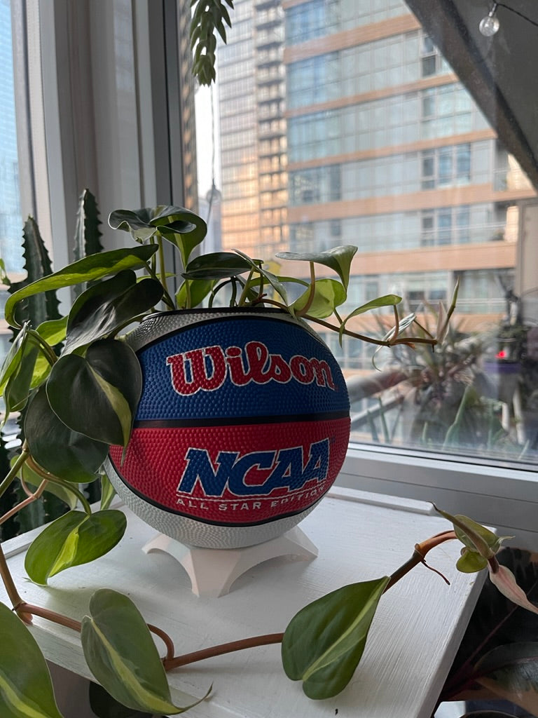 Mini Basketball Planter (NCAA Red/White/Blue)