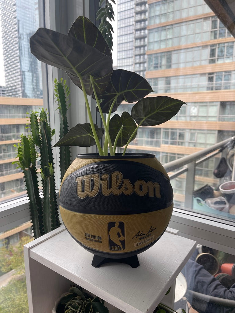 Large Basketball Planter (Toronto Raptors Gold)