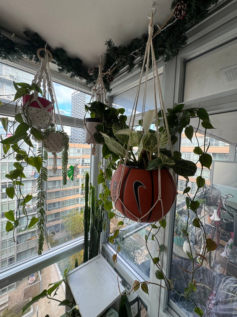 Nike Large Basketball Hanging Planter (White Macrame - Original Reversed)