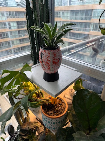 Nike Mini Football Planter (Orange & White)