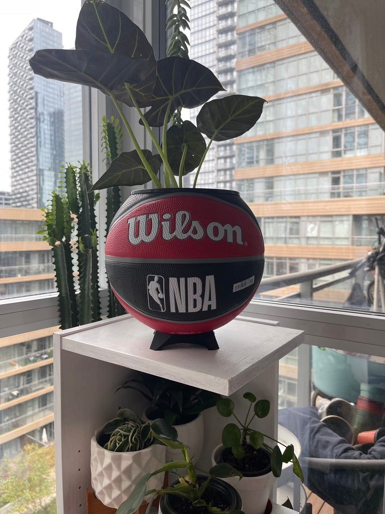 Large Basketball Planter (Toronto Raptors)