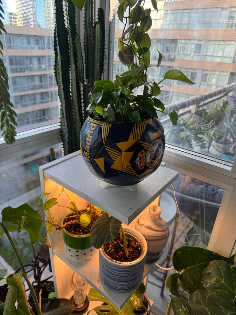 Large Soccer Ball Planter (Real Madrid)