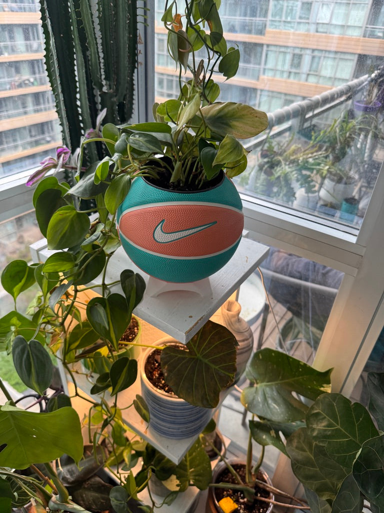 Nike Mini Basketball Planter (Malibu Beach)