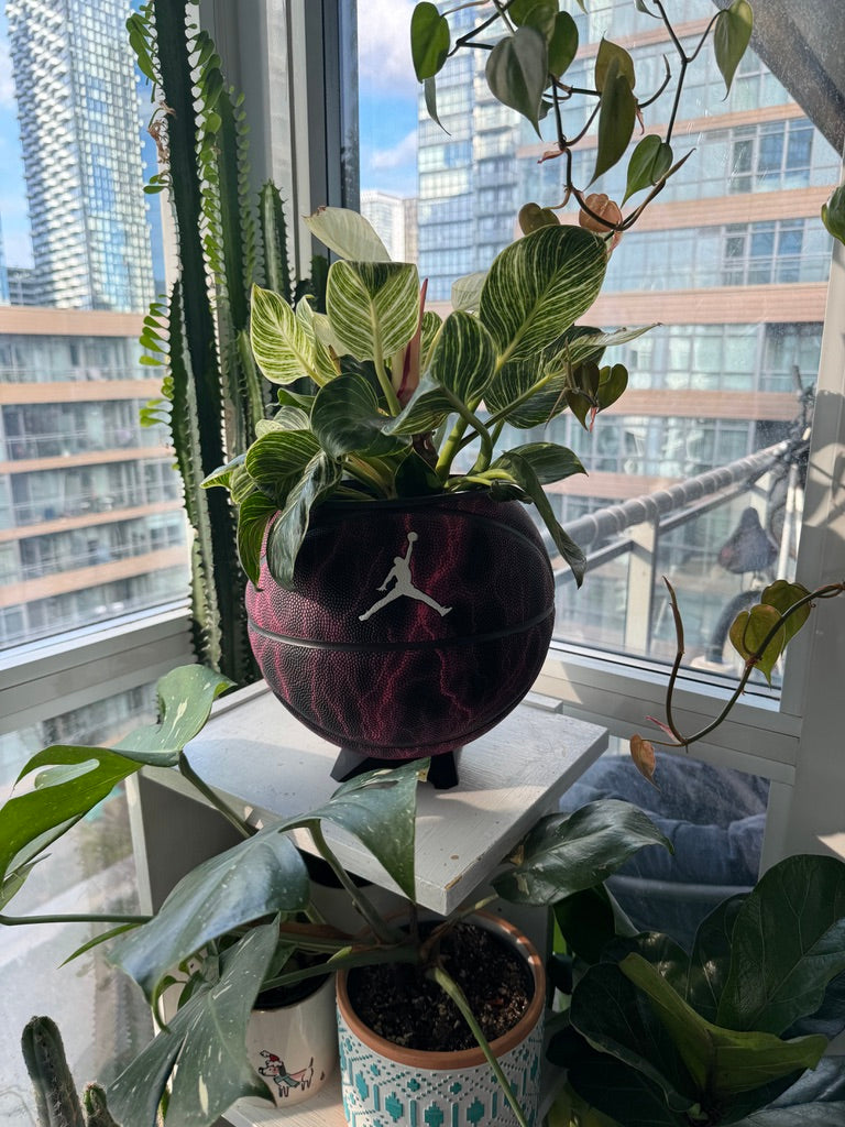 Nike Jordan Large Basketball Planter (Purple Lightning)