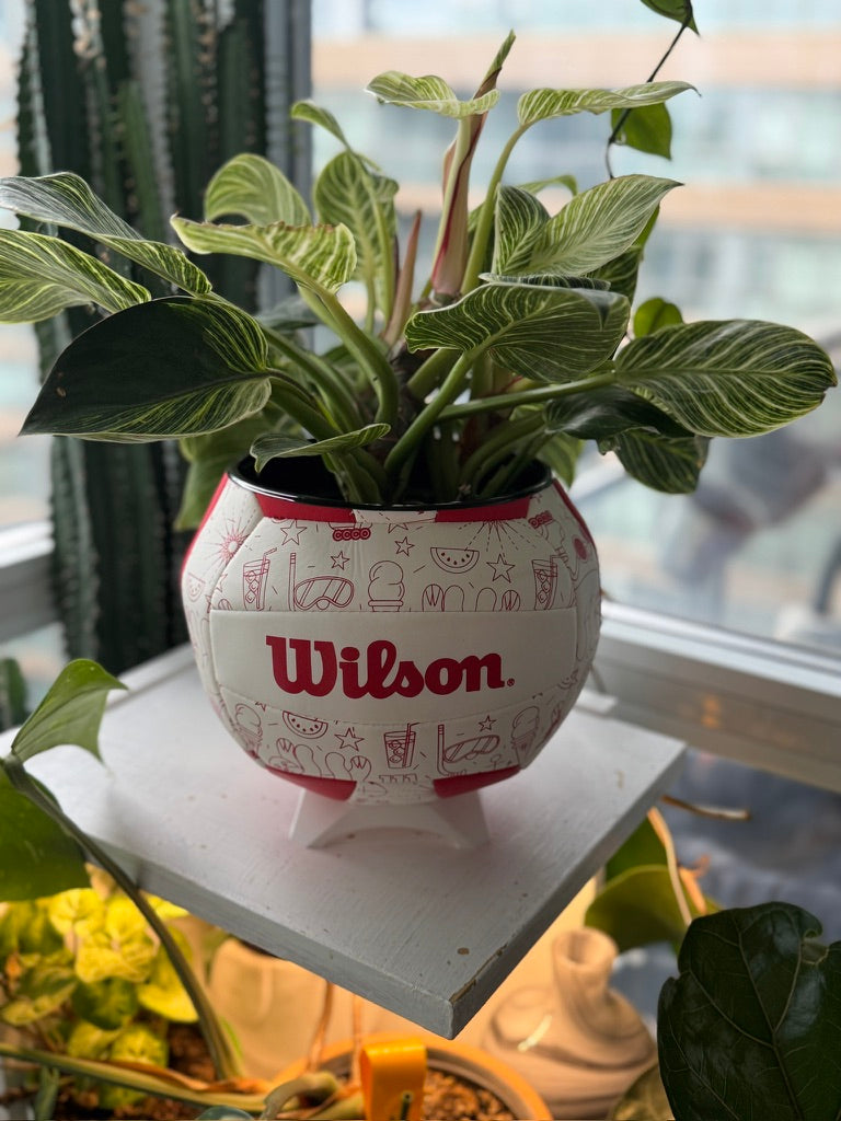 Large Volleyball Planter (Red Summer)