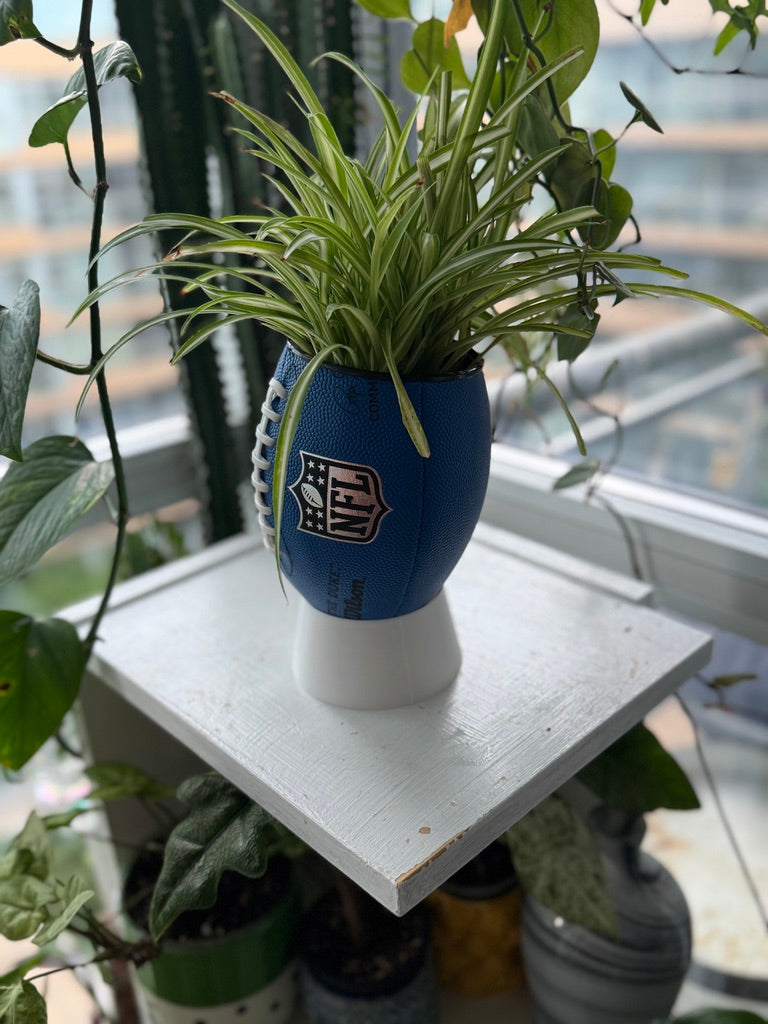 Mini Football Planter (The NFL OG - Blue)
