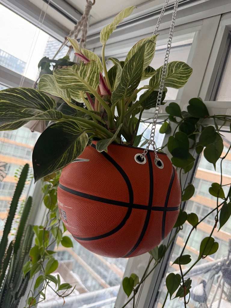 Nike Large Basketball Hanging Planter (Baller - Silver Chain)