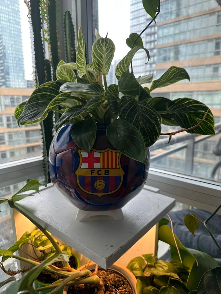 Large Soccer Ball Planter (FC Barcelona OG)