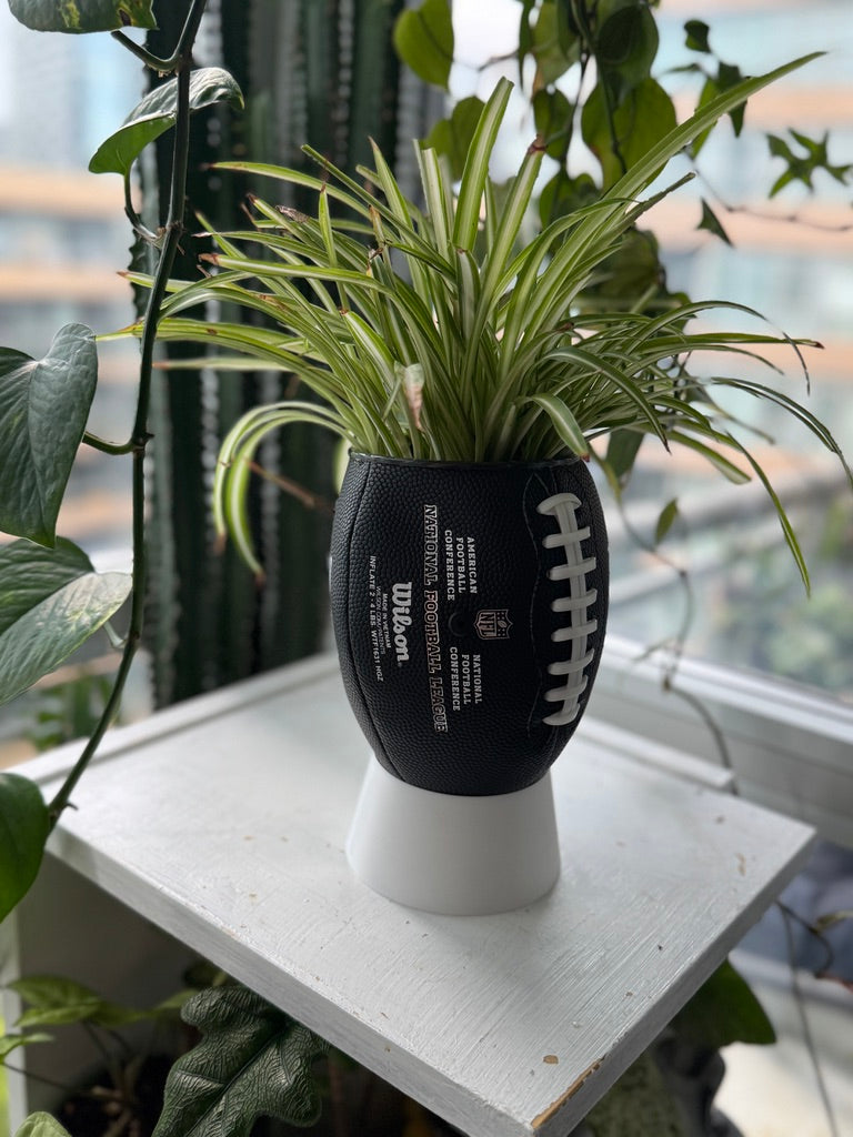 Mini Football Planter (The NFL OG - Black)