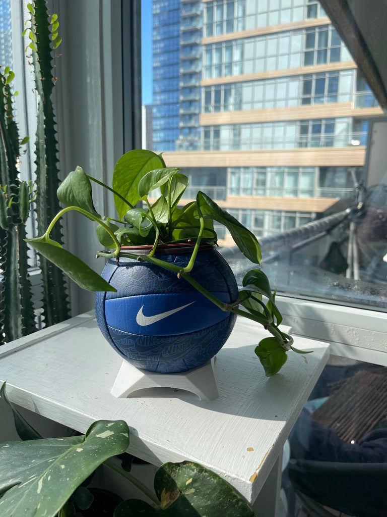 Nike Mini Volleyball Planter (Blueberry)