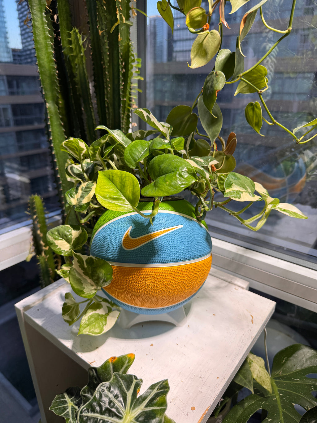 Nike Mini Basketball Planter (Blue Sunshine)
