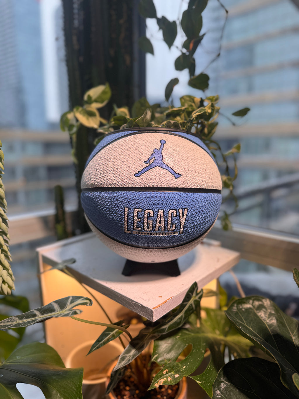 Nike Jordan Large Basketball Planter (UNC Blue & White)
