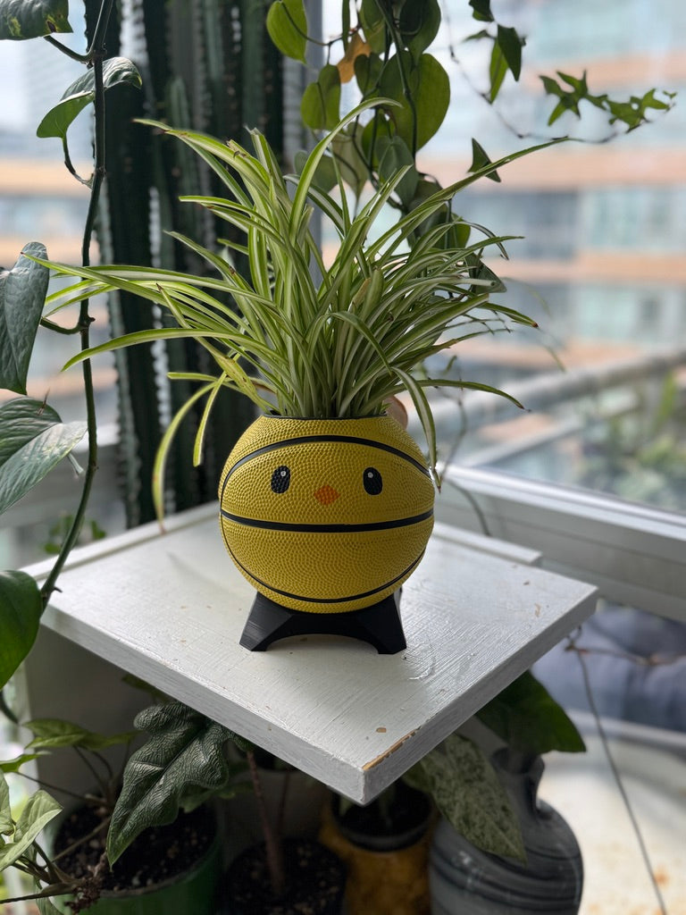 Ultra-Mini Basketball Planter (Chicken)