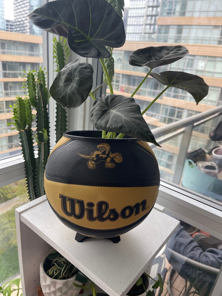 Large Basketball Planter (Toronto Raptors Gold Mascot)