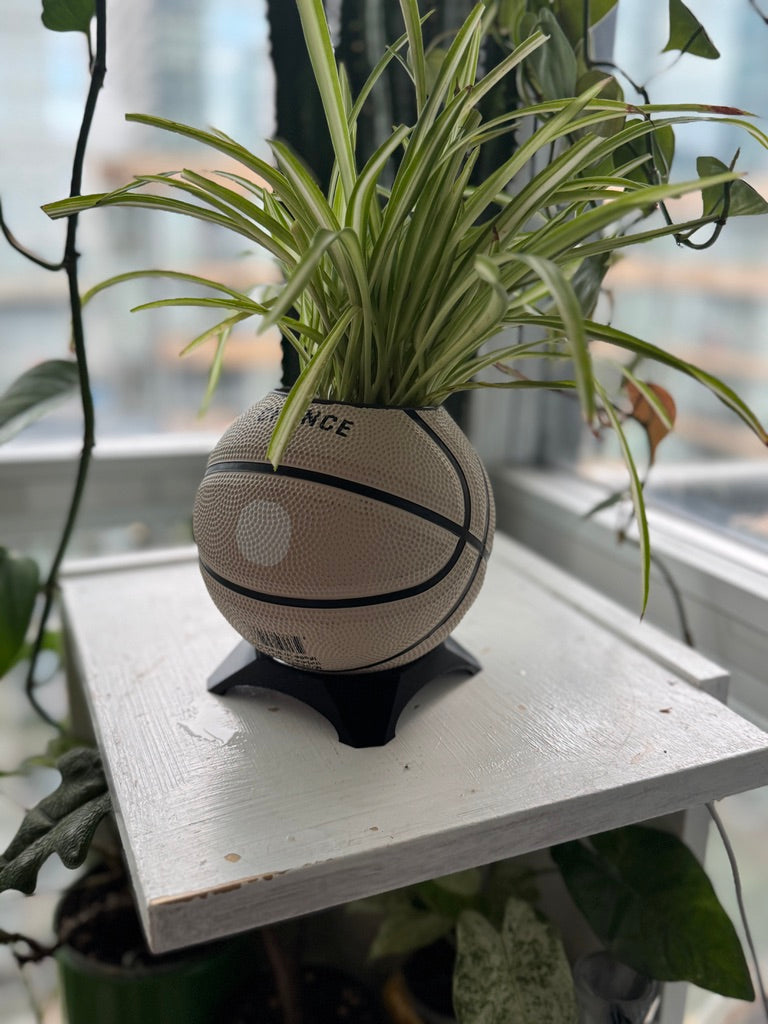 Ultra-Mini Basketball Planter (Bunny)