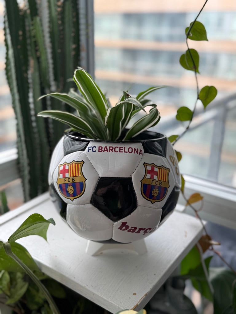 Large Soccer Ball Planter (FC Barcelona)