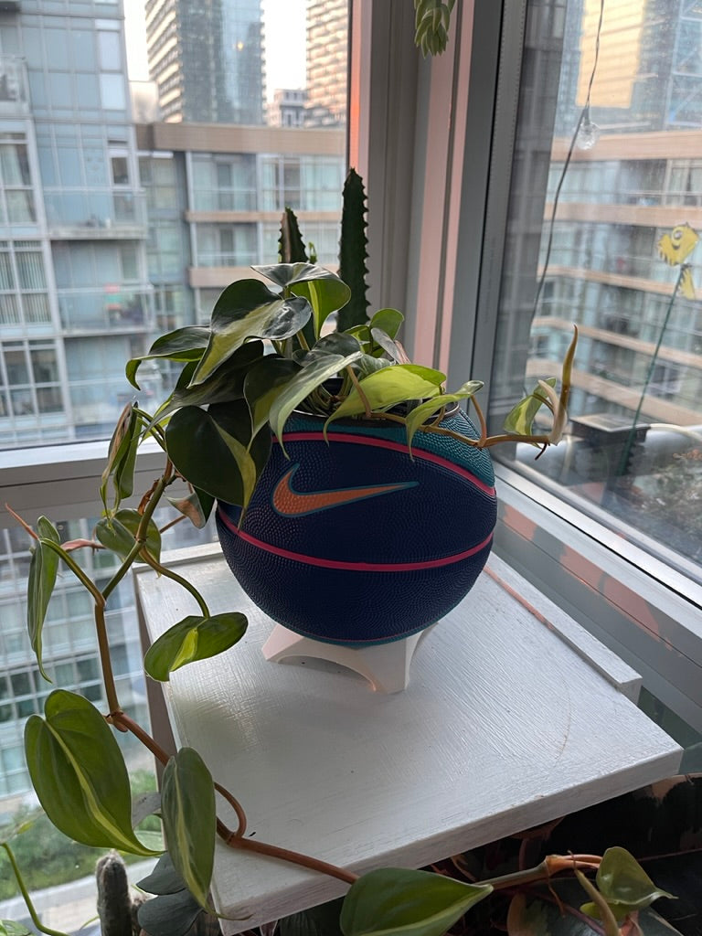Nike Mini Basketball Planter (Hyper Pink)