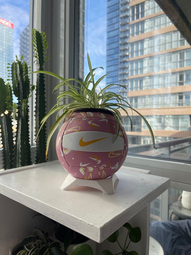 Nike Mini Volleyball Planter (Pink Swoosh)