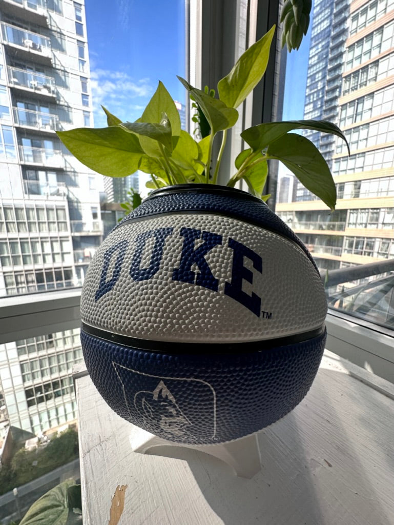 Mini Basketball Planter (Duke)