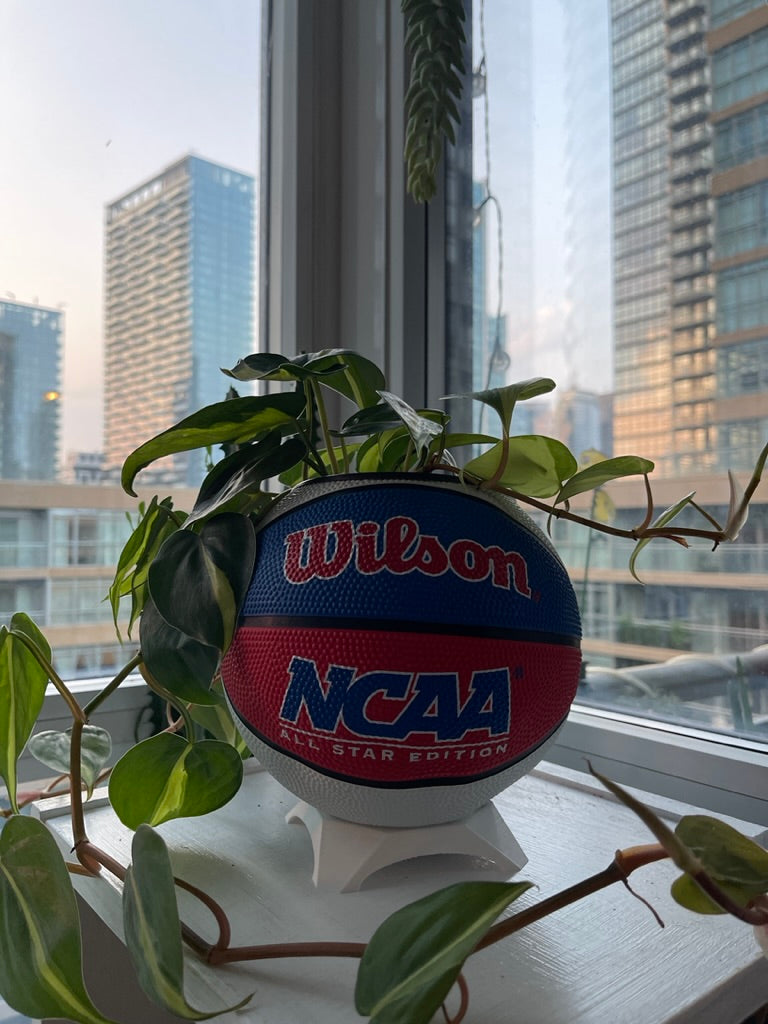 Mini Basketball Planter (NCAA Red/White/Blue)