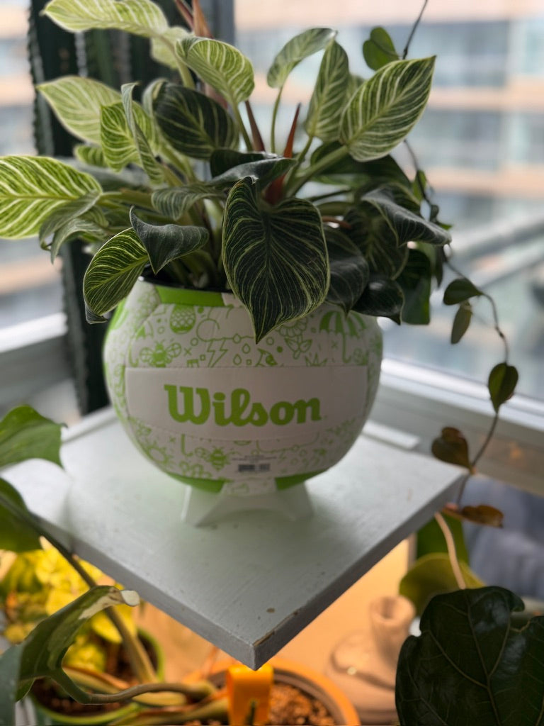 Large Volleyball Planter (Green Spring)