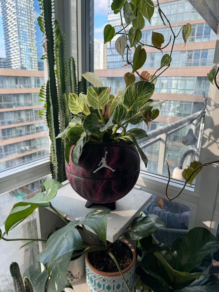 Nike Jordan Large Basketball Planter (Purple Lightning)
