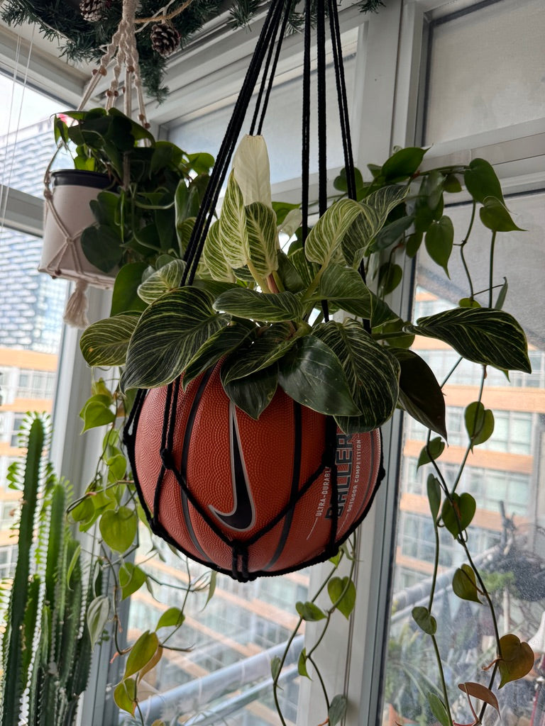 Nike Large Basketball Hanging Planter (Black Macrame - Original Reversed)