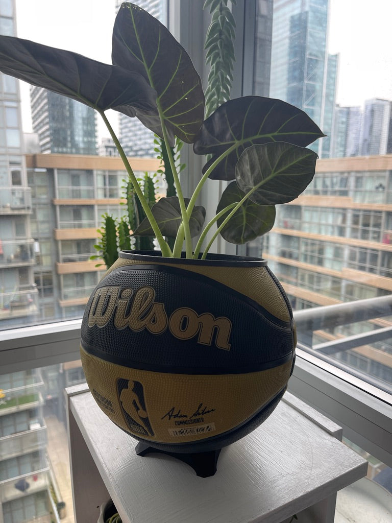 Large Basketball Planter (Toronto Raptors Gold)