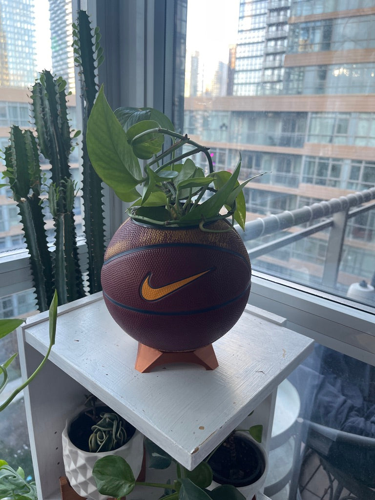 Nike Mini Basketball Planter (Lebron James)