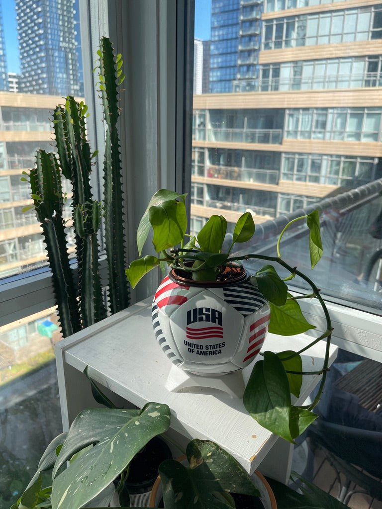 Mini Soccer Ball Planter (USA)