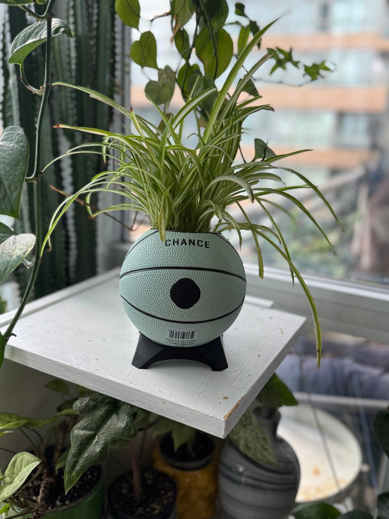 Ultra-Mini Basketball Planter (Mouse)