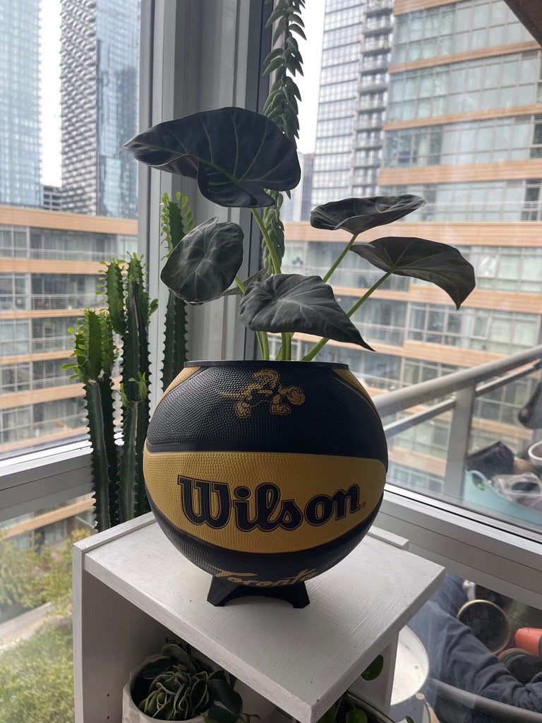 Large Basketball Planter (Toronto Raptors Gold Mascot)