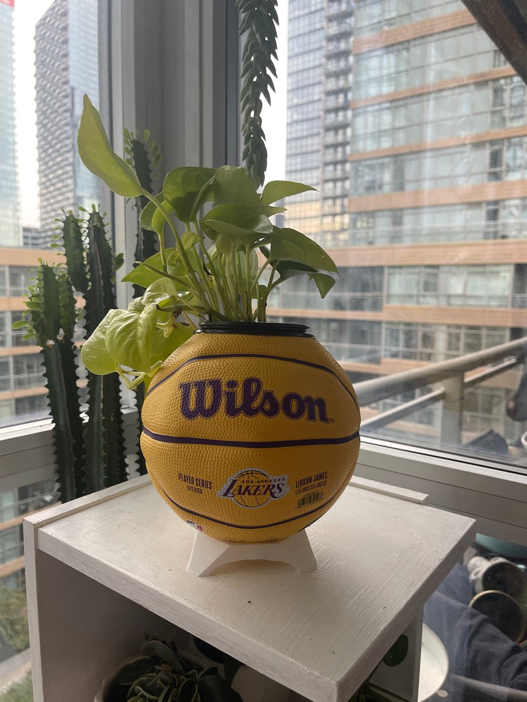Mini Basketball Planter (Lebron James)