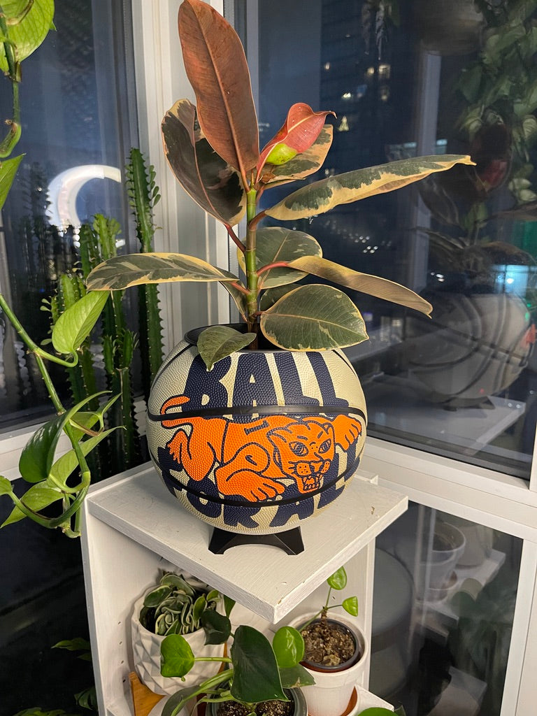 Nike Large Basketball Planter (Ball For All White)