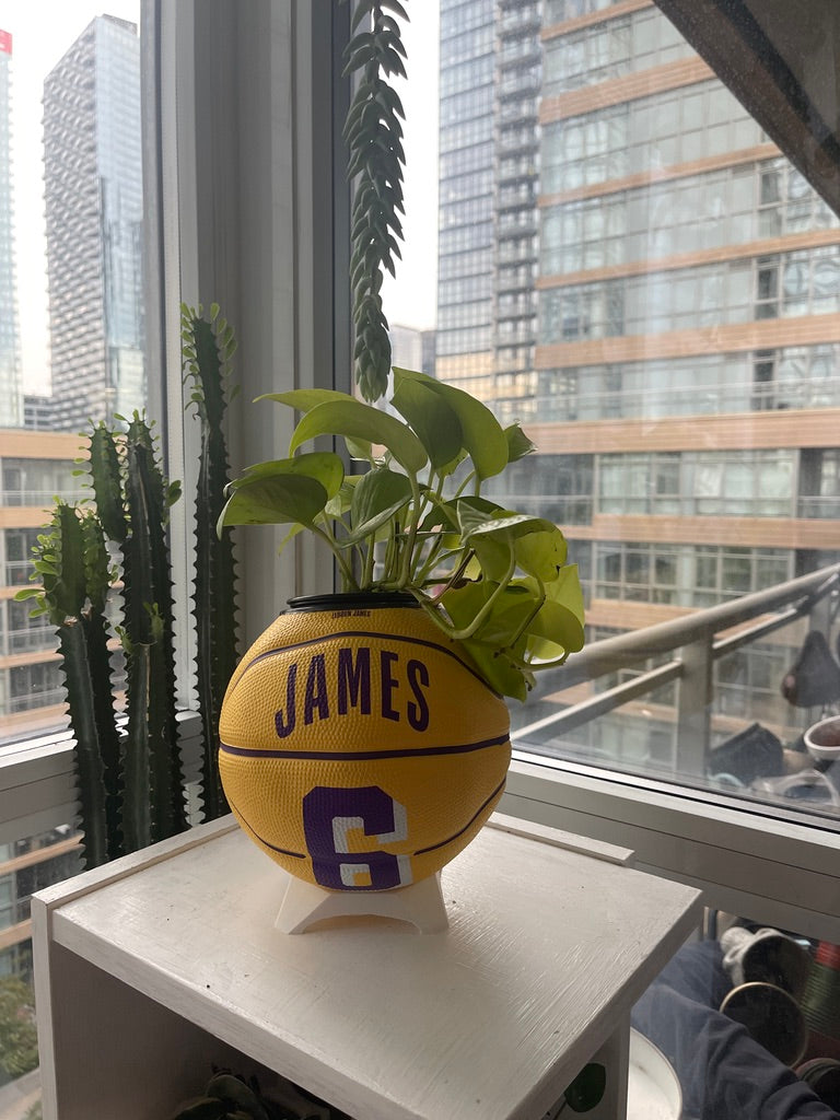 Mini Basketball Planter (Lebron James)