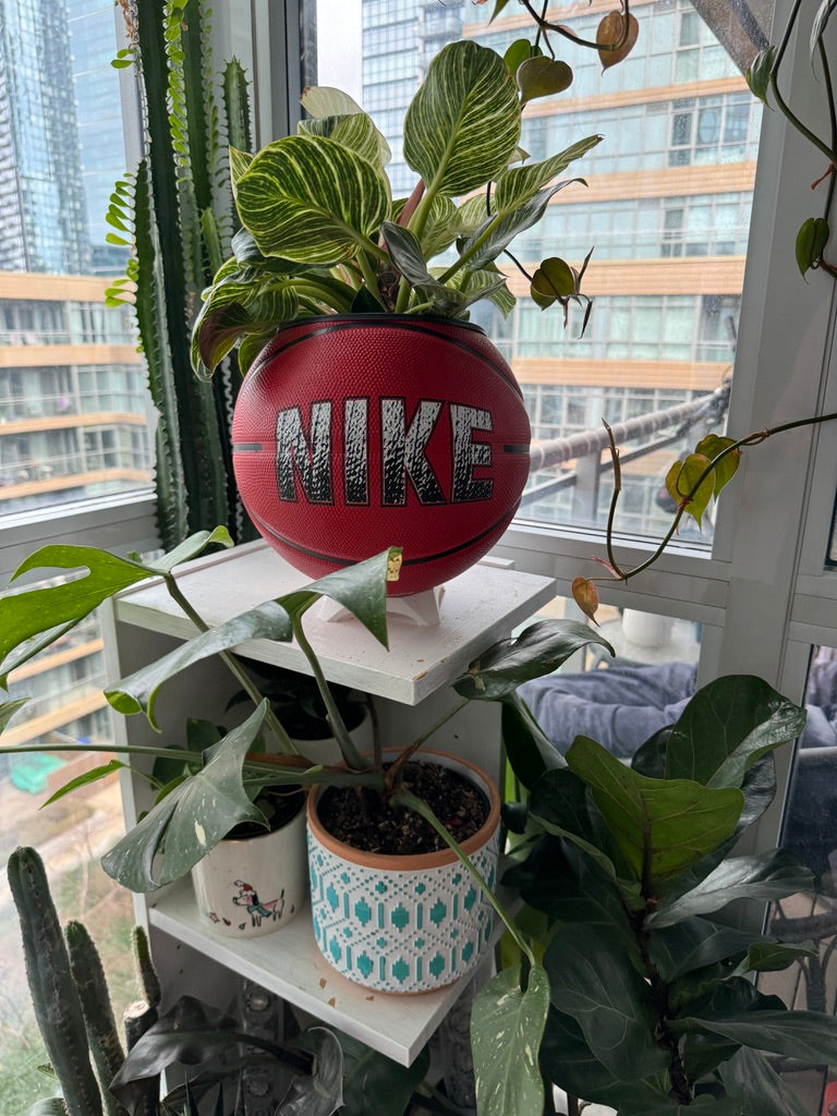 Nike Large Basketball Planter (Nike Red)
