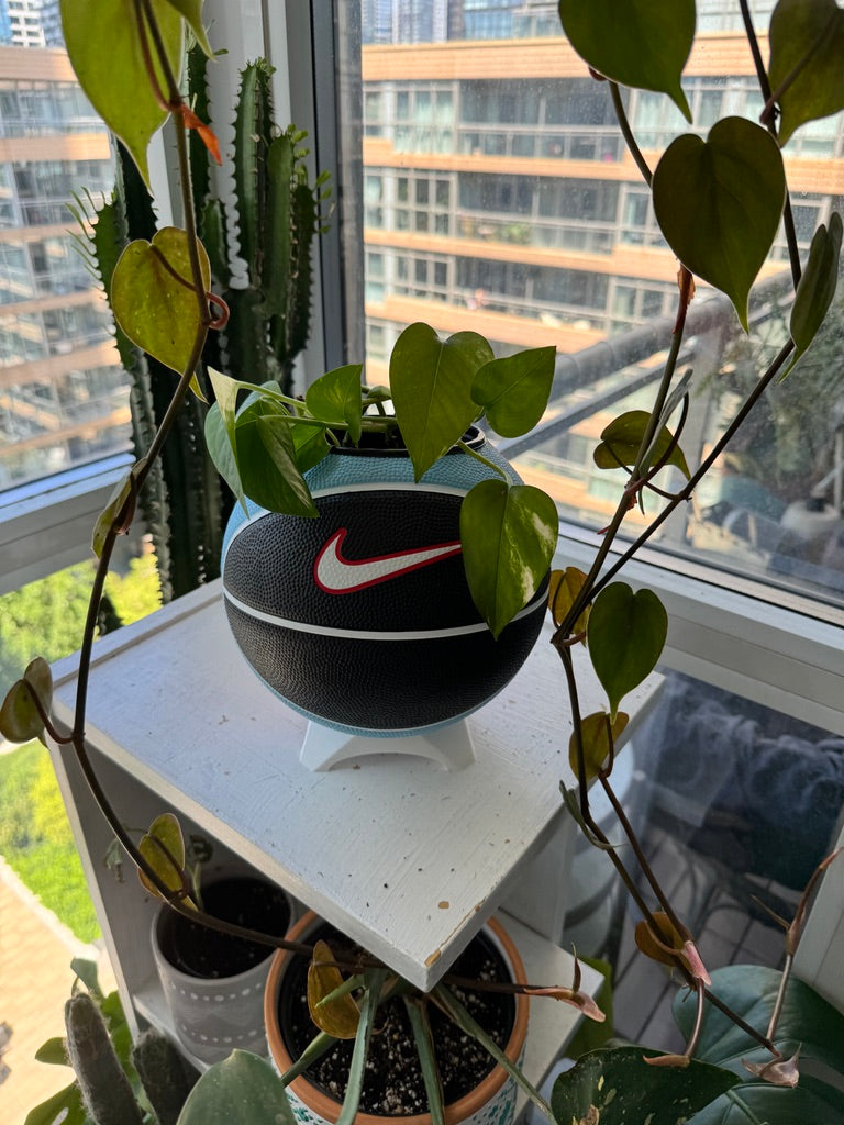 Nike Mini Basketball Planter (Blue Cherry)