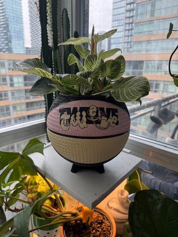 Nike Large Basketball Planter (Ja Morant Twelve Pink)