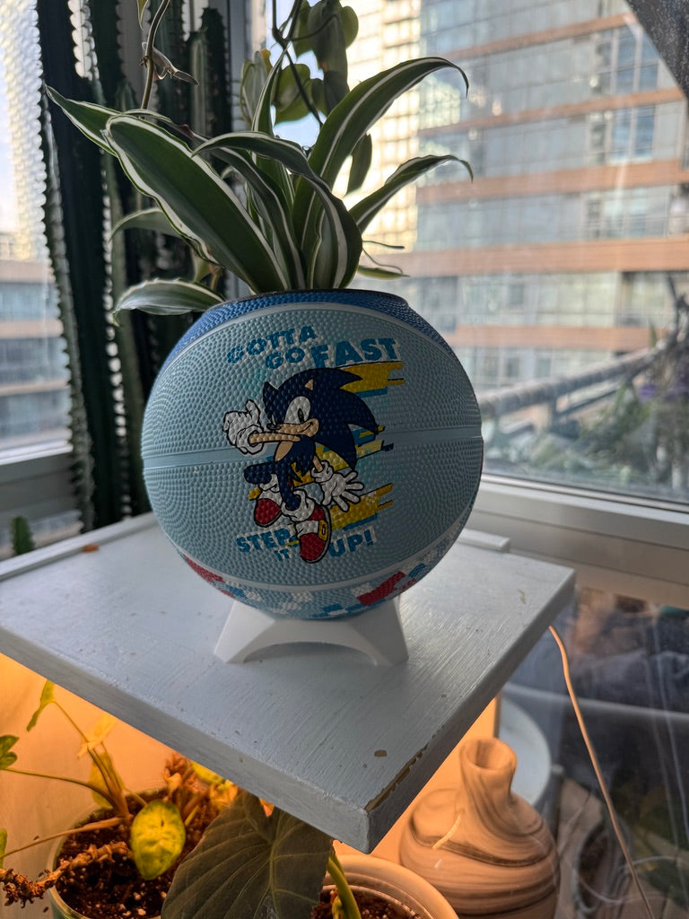 Mini Basketball Planter (Sonic the Hedgehog)