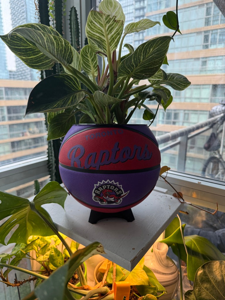 Large Basketball Planter (Toronto Raptors)