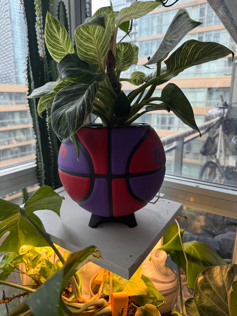 Large Basketball Planter (Toronto Raptors)