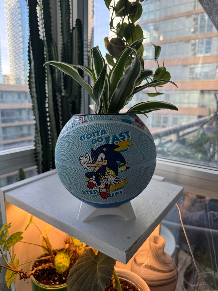 Mini Basketball Planter (Sonic the Hedgehog)