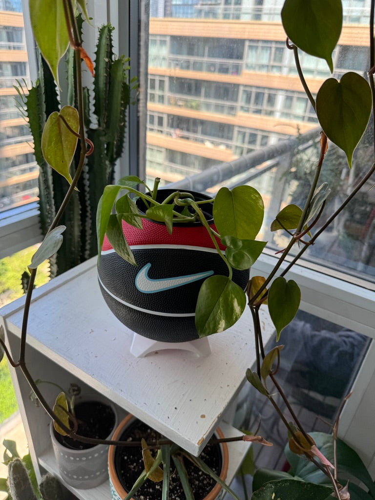 Nike Mini Basketball Planter (Blue Cherry)