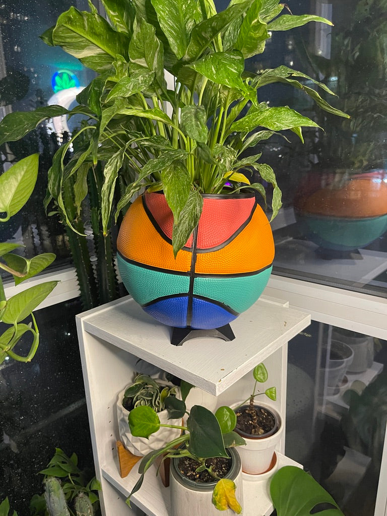Large Basketball Planter (Chance - Rainbow)