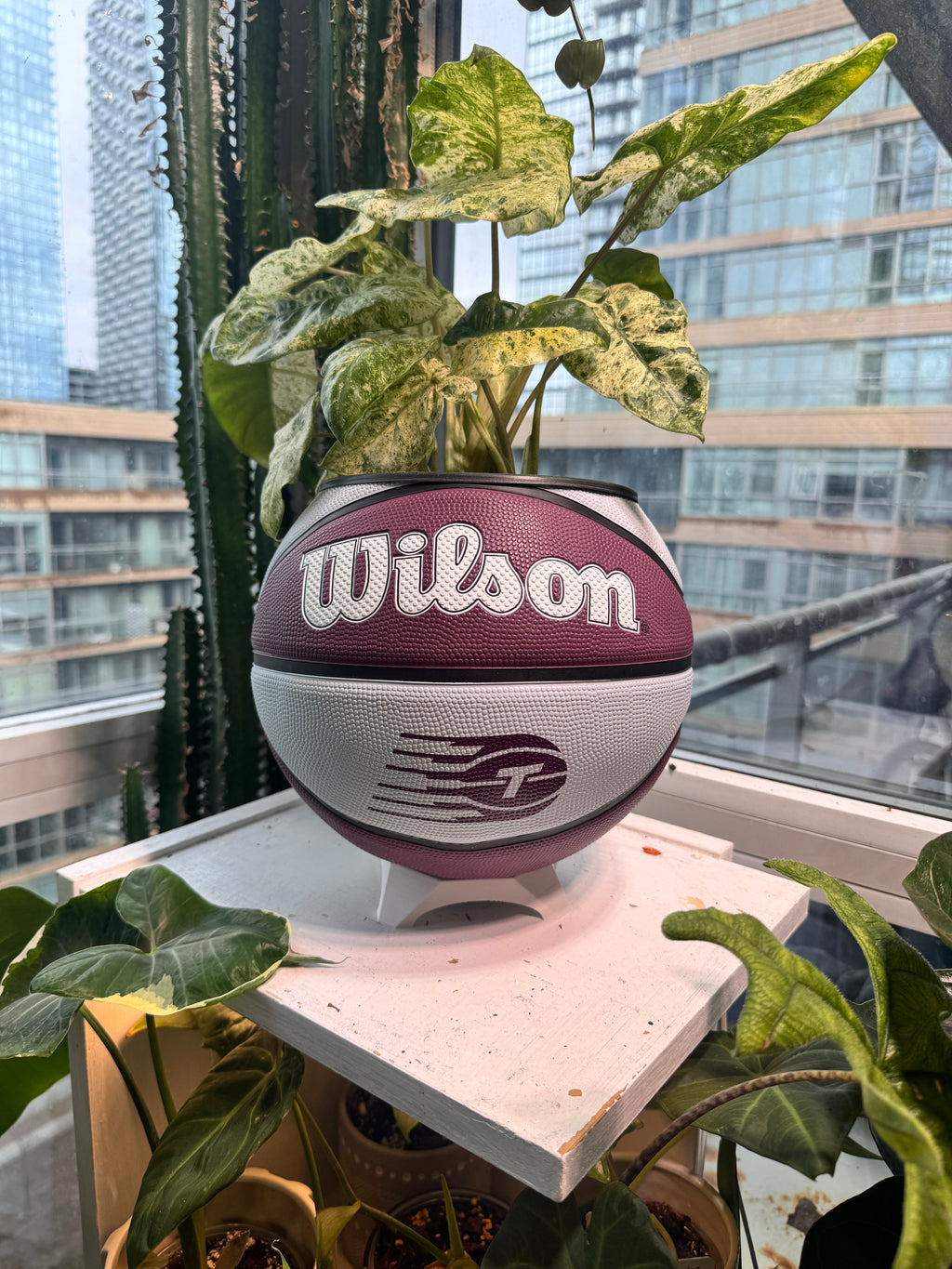Large Basketball Planter (WNBA Toronto Tempo)
