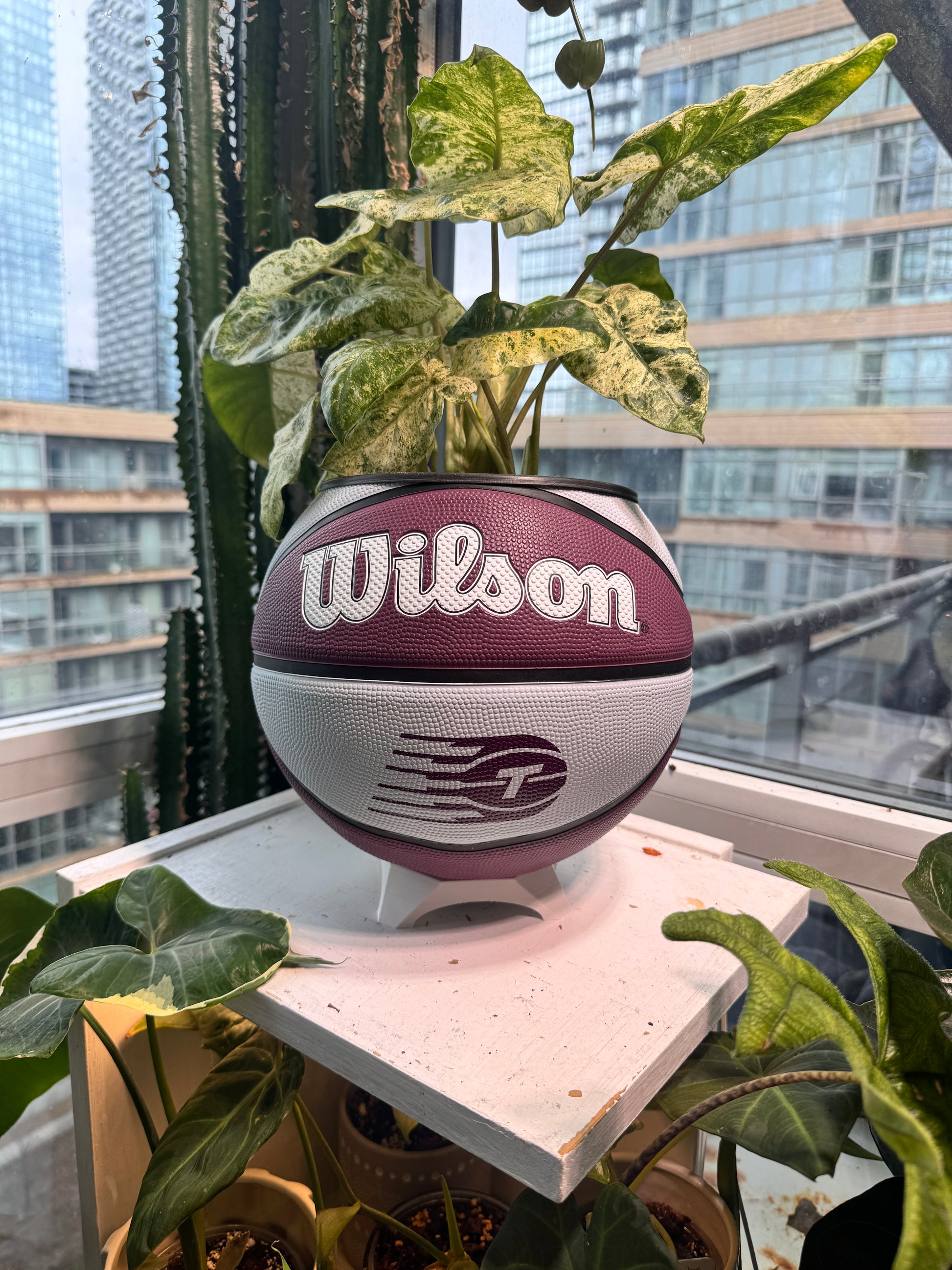 Large Basketball Planter (WNBA Toronto Tempo)