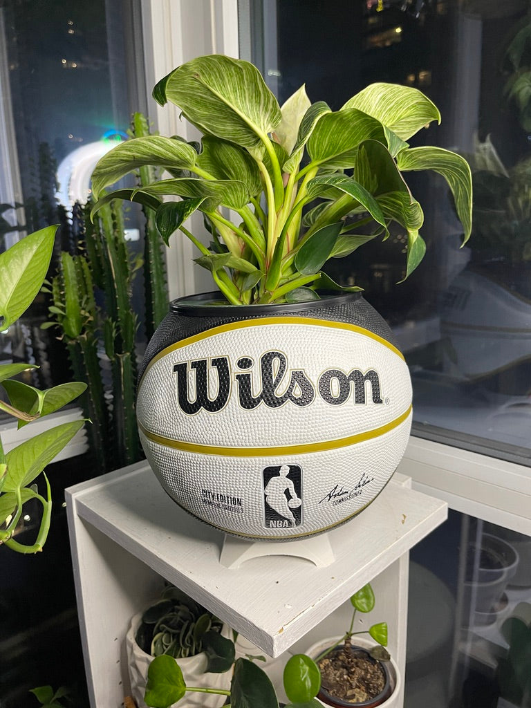 Large Basketball Planter (Memphis Grizzlies)