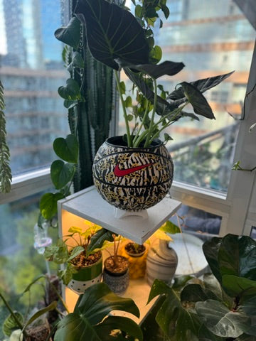 Nike Large Basketball Planter (Cheetah Zebra)