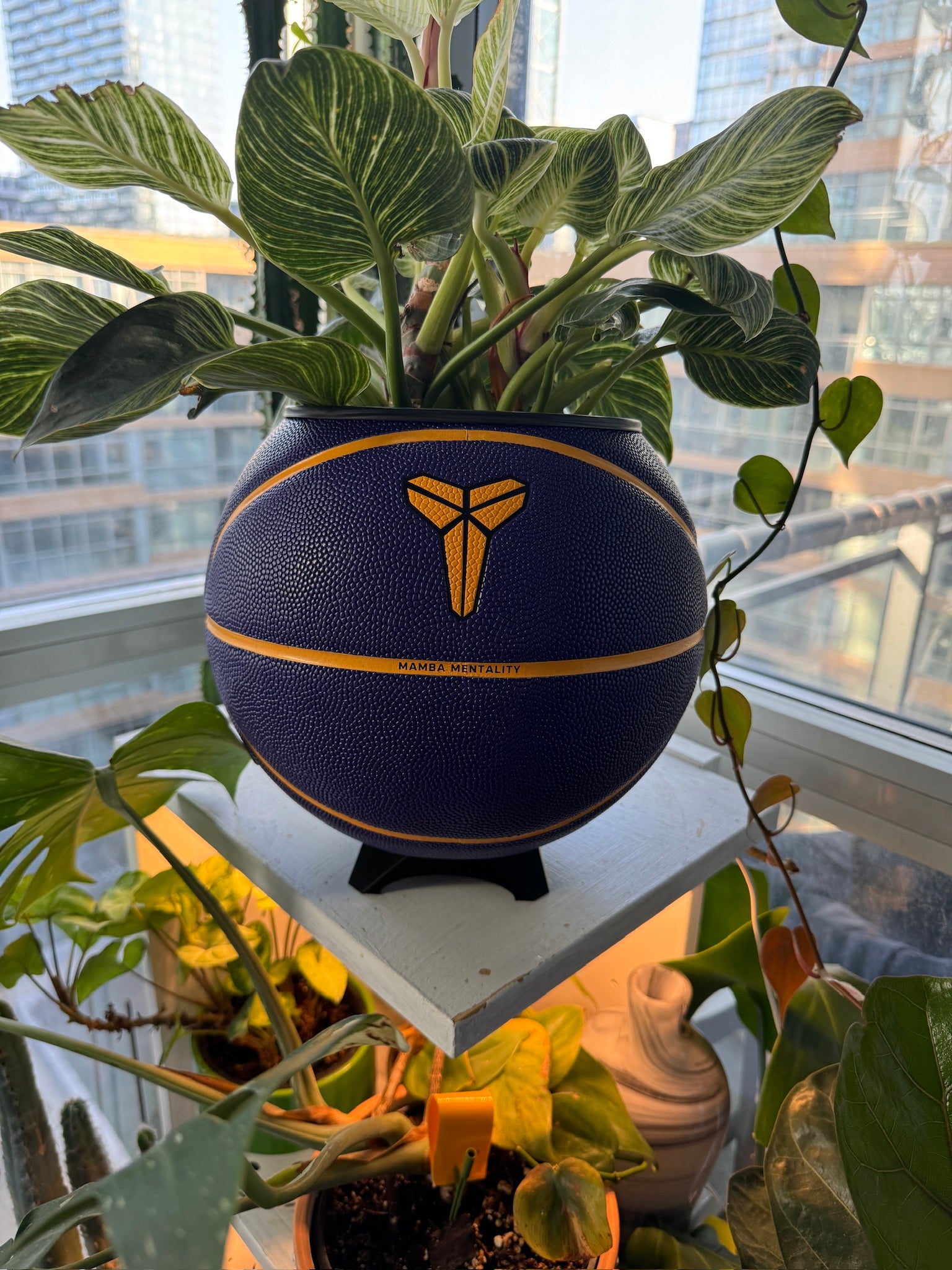 Nike Jordan Large Basketball Planter (Kobe Bryant Mamba Purple)