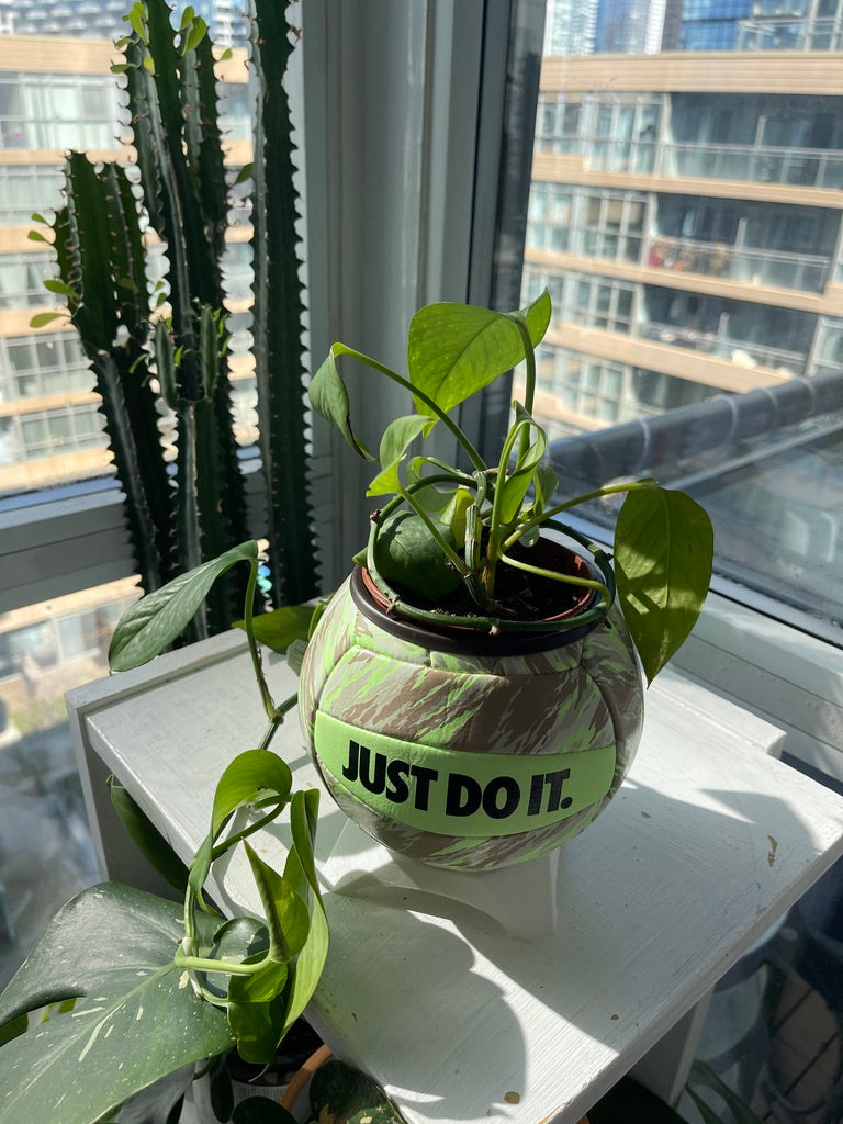 Nike Mini Volleyball Planter (Sand Storm)